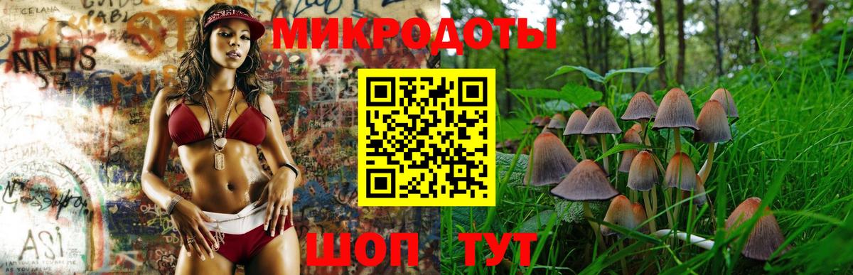 Галлюциногенные грибы ЛСД  Псилоцибиновые грибы ЛСД  Вход с VPN  Тара 
